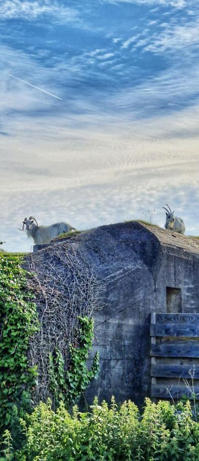 Vakantiehuis De Bunker Julianadorp Exteriör bild